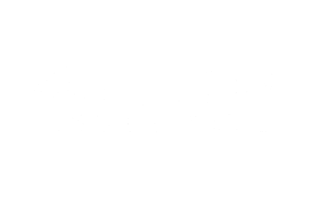 Speedy Holdings Group Logo